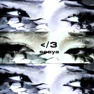 五月天丁香成人在线视频
